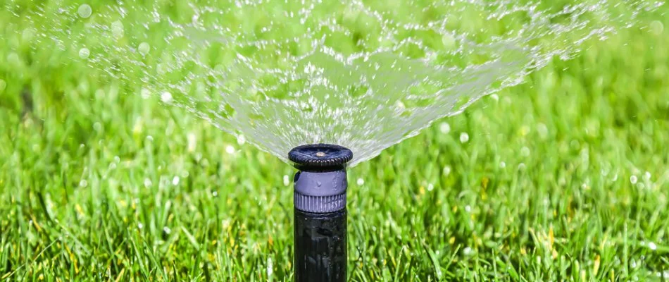 Sprinkler system spraying water on a lawn in Cary, NC.