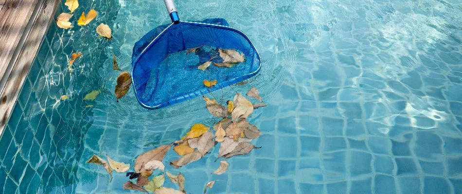 Leaves being removed from pool Cary, NC.