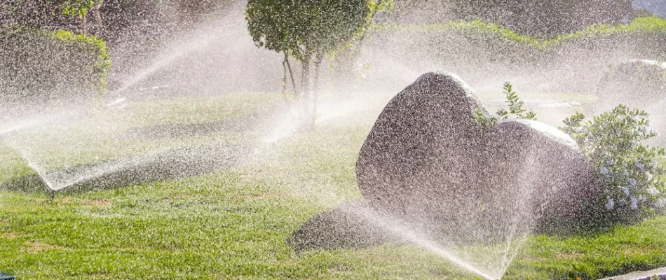 Sprinkler irrigation system in Cary, NC, running on a lawn with plants.