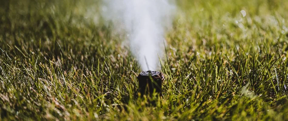 Water being blown out of the sprinkler head of an irrigation system in Cary, NC.