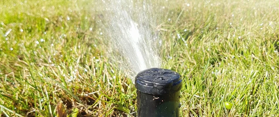 Water being blown out of a sprinkler head in Cary, NC.