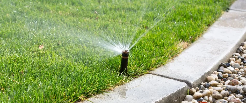 Water being released from a sprinkler head on a lawn in Cary, NC.