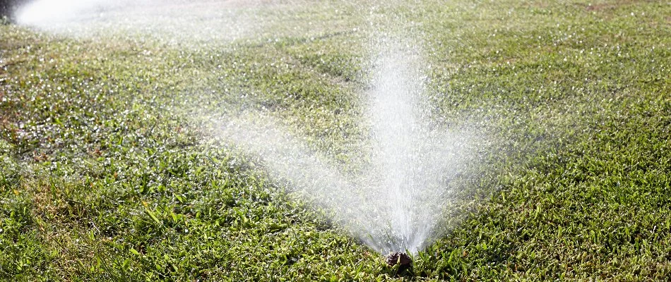 Water coming out of sprinkler heads on a lawn in Cary, NC.