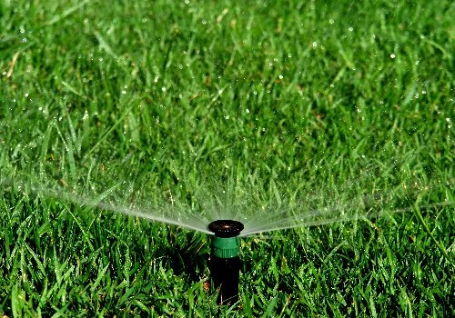 Sprinkler head spraying water on green grass.